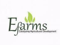 Efarms - MEAL HUB AFRICA partner